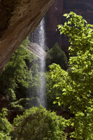 Emerald Pool Waterfall at Zion